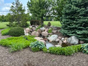Rock garden with a small pond and lush green shrubs, mulch ground cover, and trees in a park-like setting.