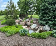 Rock garden with a dry stream bed of stones, surrounded by evergreen shrubs and a green lawn in a sunny yard.