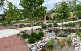 Campus courtyard with a small pond bordered by rocks, red brick paths, trees, and a brick building in the background.