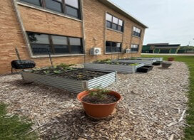 Raised wooden garden beds along a gravel path beside a brick building, with a potted plant in the foreground.