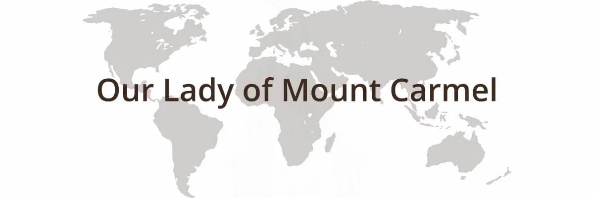 Fr. Dan O'Neill, O.Carm.